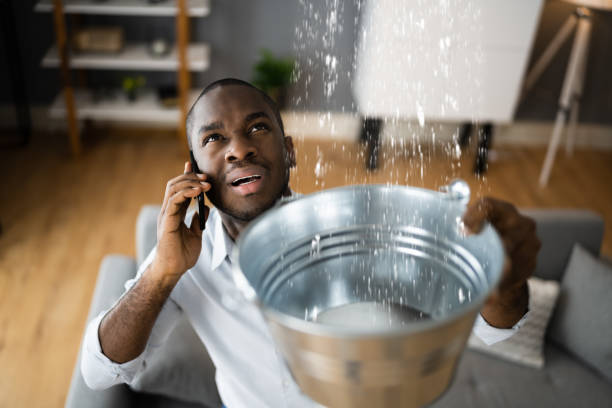 Best Residential water damage restoration  in Storm Lake, IA