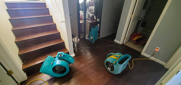Best Flooded house restoration  in Storm Lake, IA