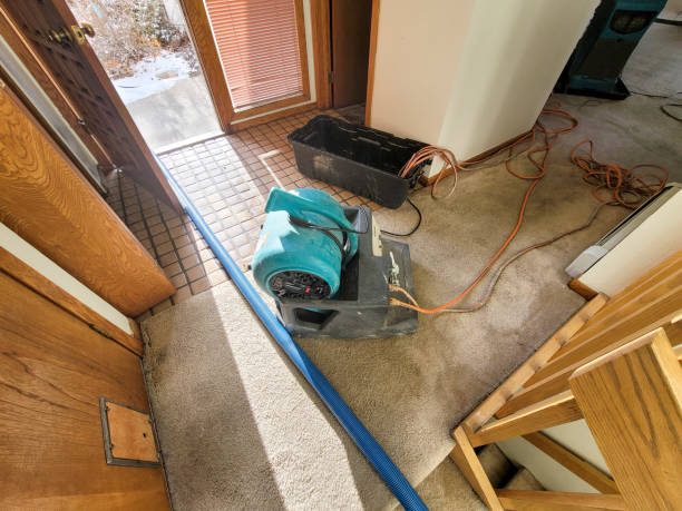 Best Ceiling water damage repair  in Storm Lake, IA