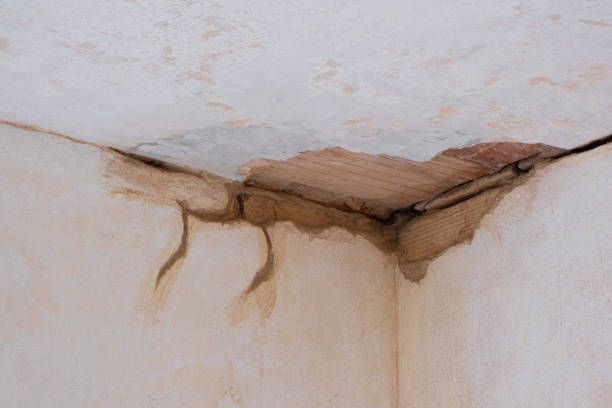 Water damage restoration mold remediation in IA