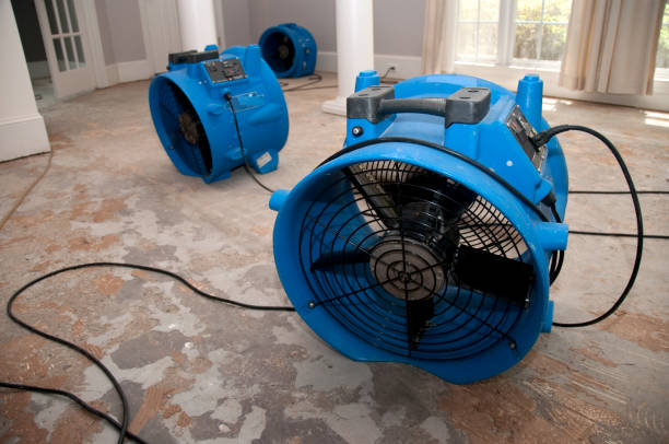  Storm Lake, IA Water damage restoration Pros