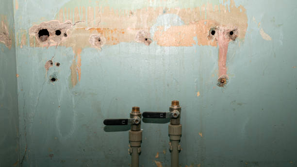 Best Fire Damage Restoration  in Storm Lake, IA
