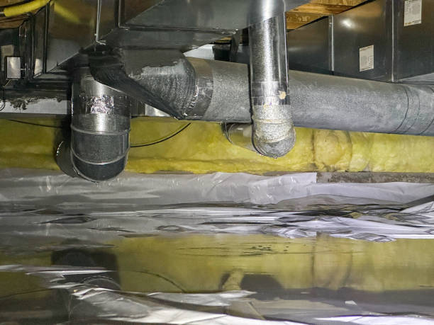 Best Basement water damage restoration  in Storm Lake, IA
