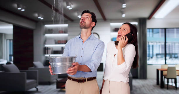 Best Professional water damage repair  in Storm Lake, IA