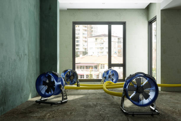 Best Water damage restoration mold remediation  in Storm Lake, IA