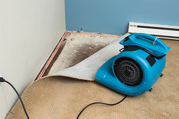 Best Commercial water damage restoration  in Storm Lake, IA
